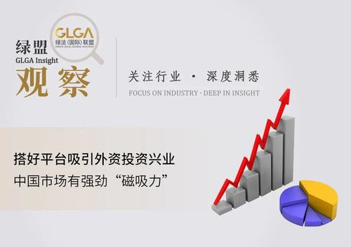 绿盟观察丨搭好平台吸引外资投资兴业,中国市场有强劲 磁吸力